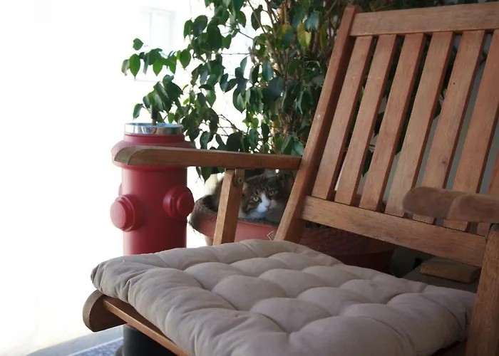 Vas\' Penthouse